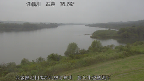 tonos2025101612_image