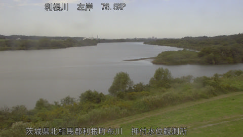 tonos2025102312_image