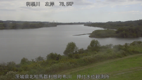 tonos2025102412_image