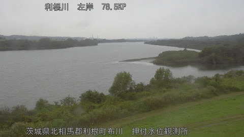 tonos2025102508_image