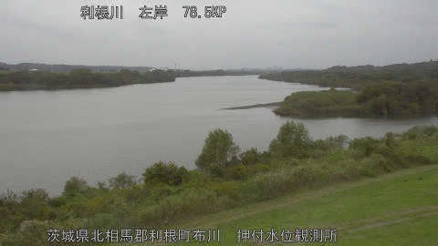 tonos2025102513_image