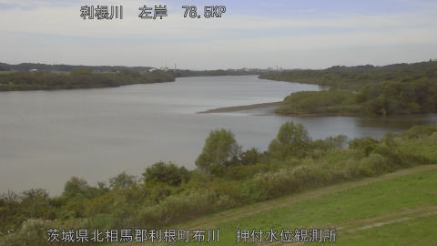 tonos2025102912_image