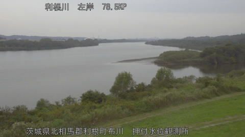 tonos2025103112_image