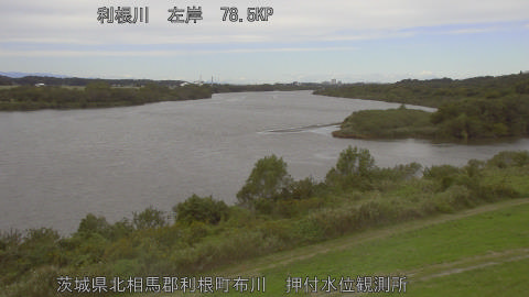 tonos2025110112_image