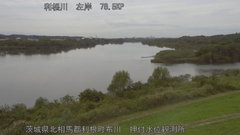 tonos2025110212_image