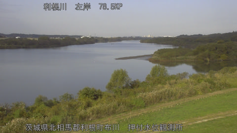 tonos2025110809_image