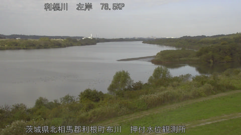 tonos2025110810_image