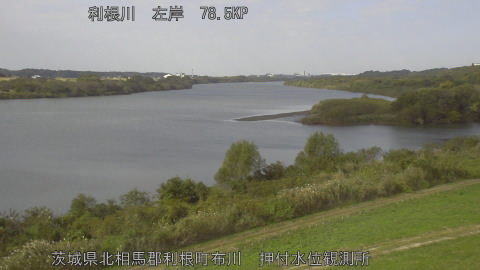 tonos2025110811_image