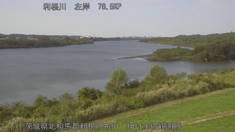 tonos2025110812_image