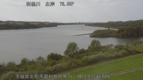 tonos2025110813_image