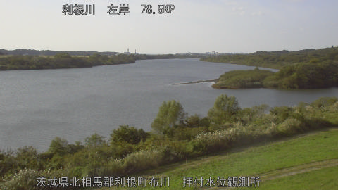 tonos2025110814_image