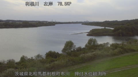 tonos2025110816_image