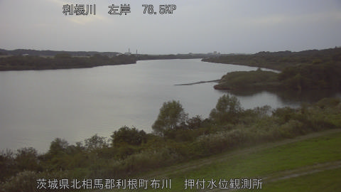 tonos2025110817_image