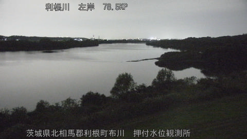 tonos2025110819_image