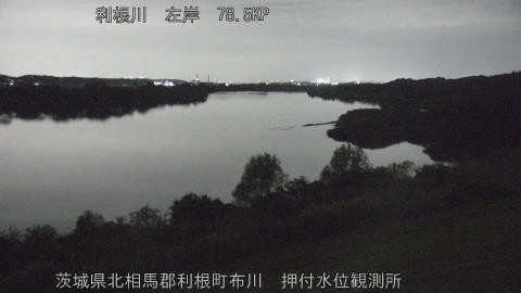 tonos2025110821_image