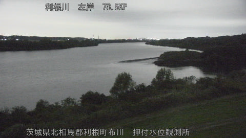 tonos2025110904_image