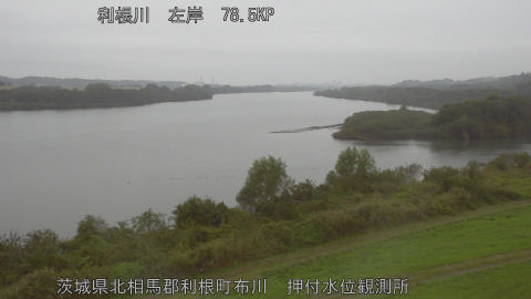 tonos2025110910_image