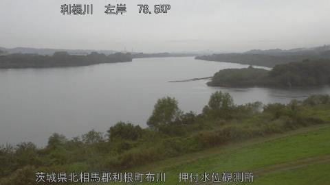 tonos2025110911_image