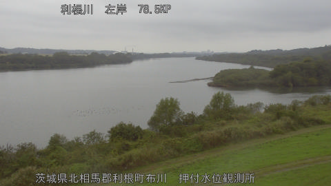 tonos2025110912_image