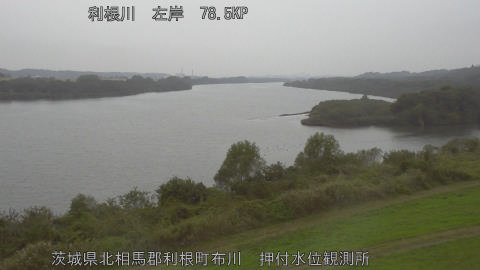 tonos2025110914_image