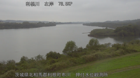 tonos2025110915_image