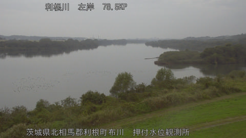 tonos2025110916_image