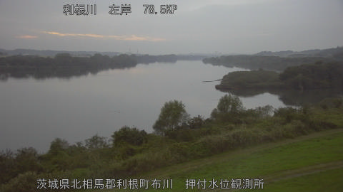 tonos2025110917_image