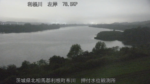 tonos2025110919_image