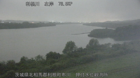 tonos2025111004_image