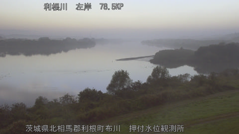 tonos2025111007_image