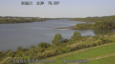 tonos2025111511_image