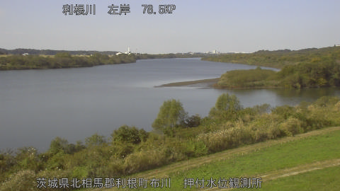 tonos2025111512_image