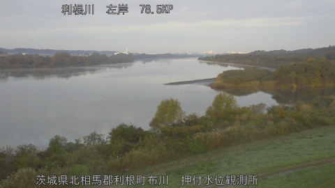 tonos2025111607_image