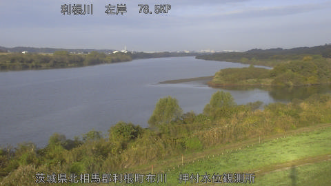 tonos2025111608_image