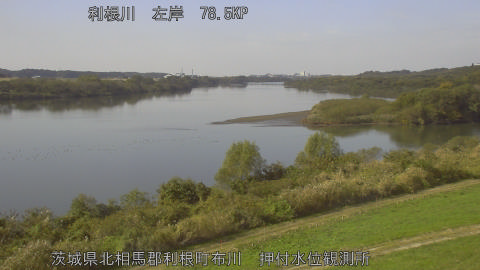 tonos2025111612_image