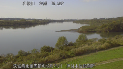 tonos2025111613_image