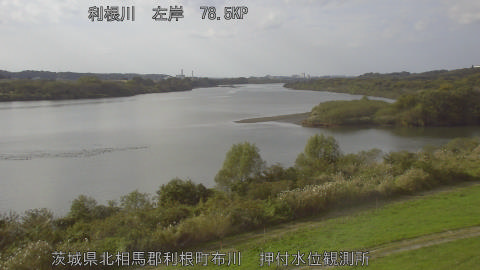 tonos2025111614_image