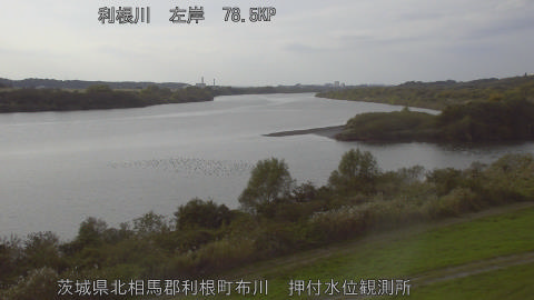 tonos2025111615_image