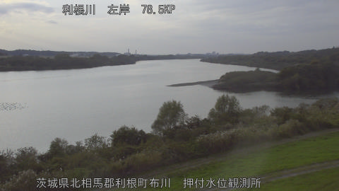 tonos2025111616_image