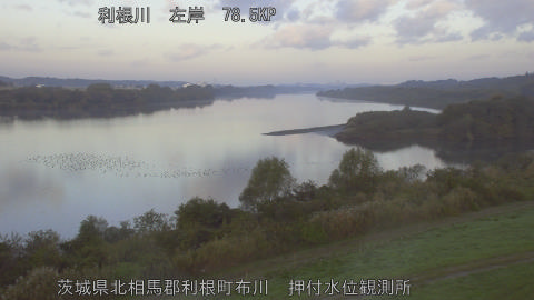 tonos2025111707_image