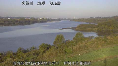 tonos2025111708_image