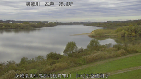 tonos2025111811_image