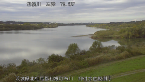 tonos2025111812_image