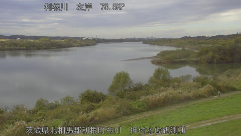 tonos2025111813_image