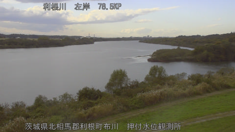 tonos2025111815_image