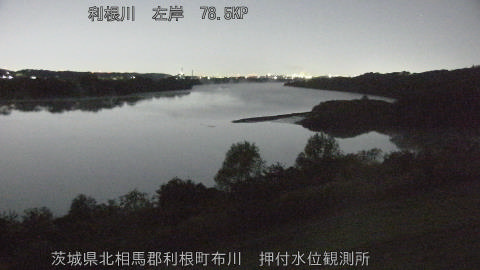 tonos2025111904_image