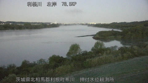 tonos2025111906_image