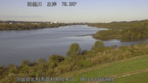 tonos2025111909_image