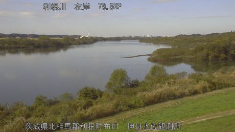 tonos2025111911_image