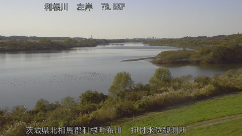 tonos2025111914_image